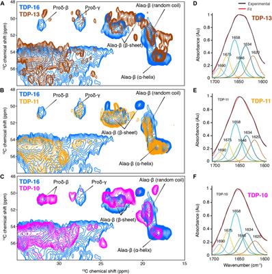 Structural polymorphism of the low-complexity C-terminal domain of TDP-43 amyloid aggregates revealed by solid-state NMR